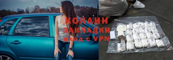 шишки Нязепетровск