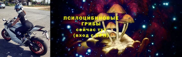ALPHA PVP Няндома