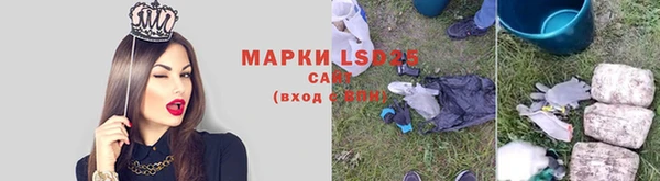 шишки Нязепетровск