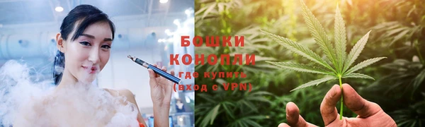 шишки Нязепетровск