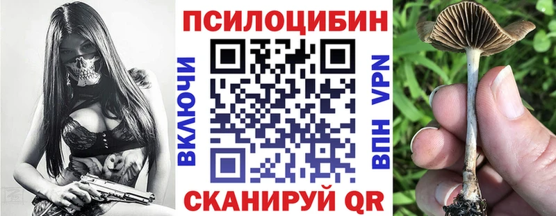 Галлюциногенные грибы GOLDEN TEACHER Купить закладки Минусинск
